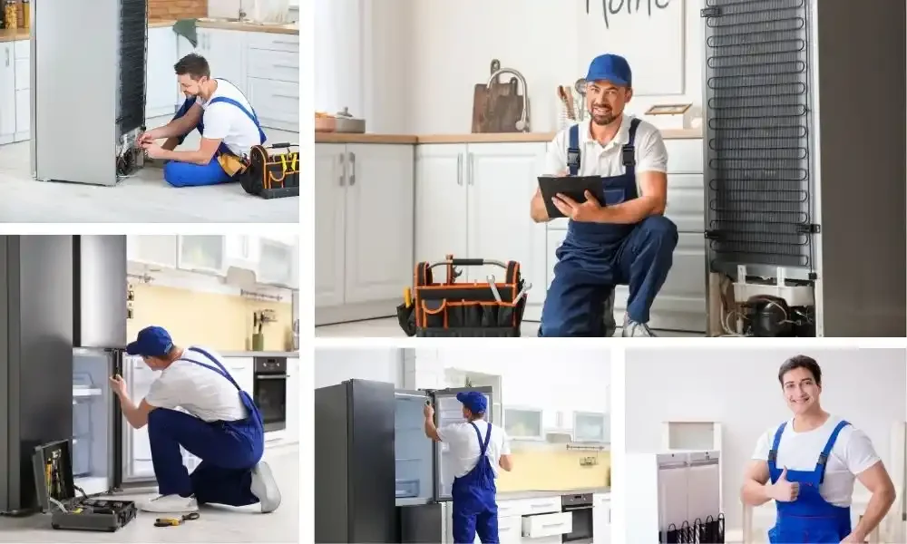 Refrigerator Fridge Repair